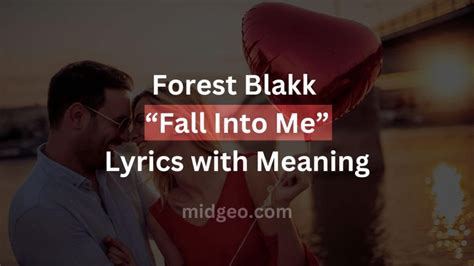 song fall into me|fall into me song meaning.